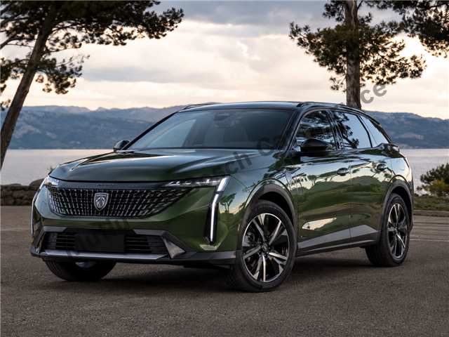 Konya Peugeot Servisi